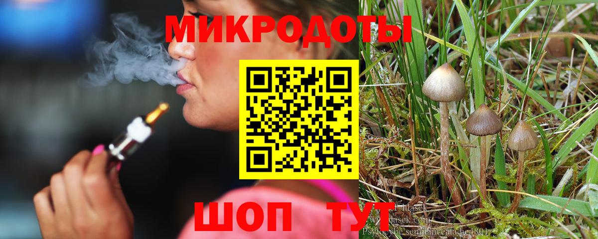 Псилоцибиновые грибы Cubensis  Галлюциногенные грибы ЛСД  Вход с VPN  Дмитров 